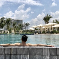 Trí Nguyễn