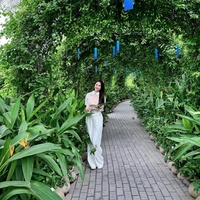 Hoàng Sơn