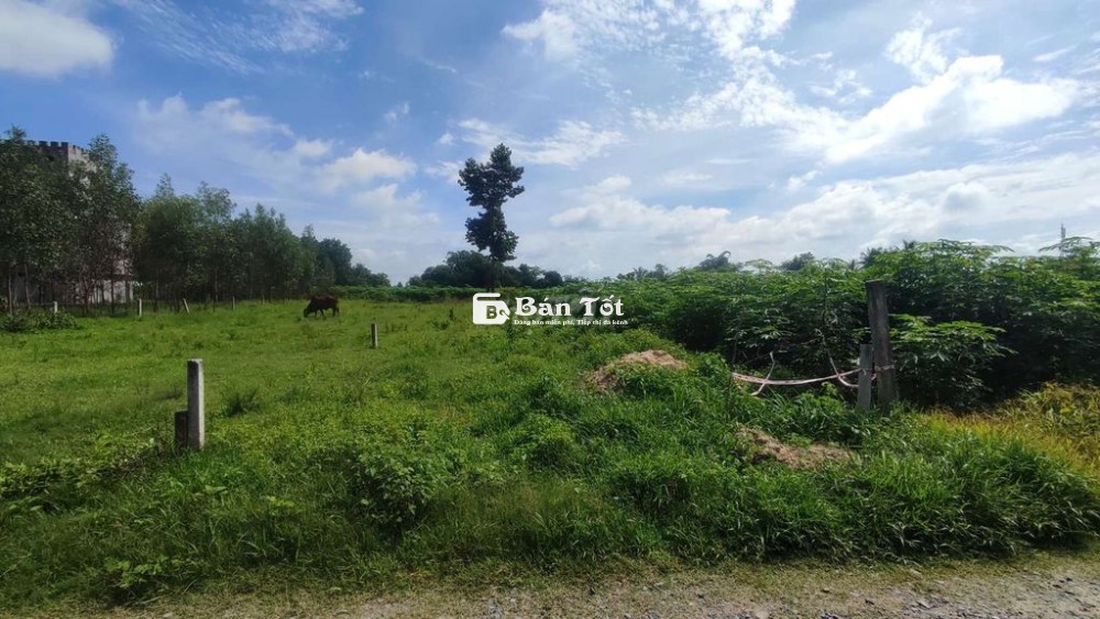 Đất Bến Trường - Hảo Đước - Tây Ninh