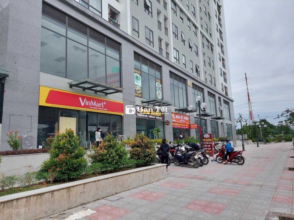 SỐC SHOPHOUSE ECOHOME 3-SỔ ĐỎ LÂU DÀI-KINH DOANH ĐỈNH-DÒNG TIỀN KHỦNG