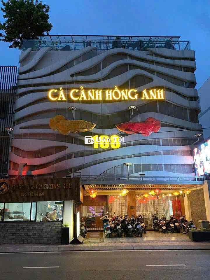 Mặt Tiền 12m Trung Tâm Phú Nhuận, 5 tầng, có Thang máy