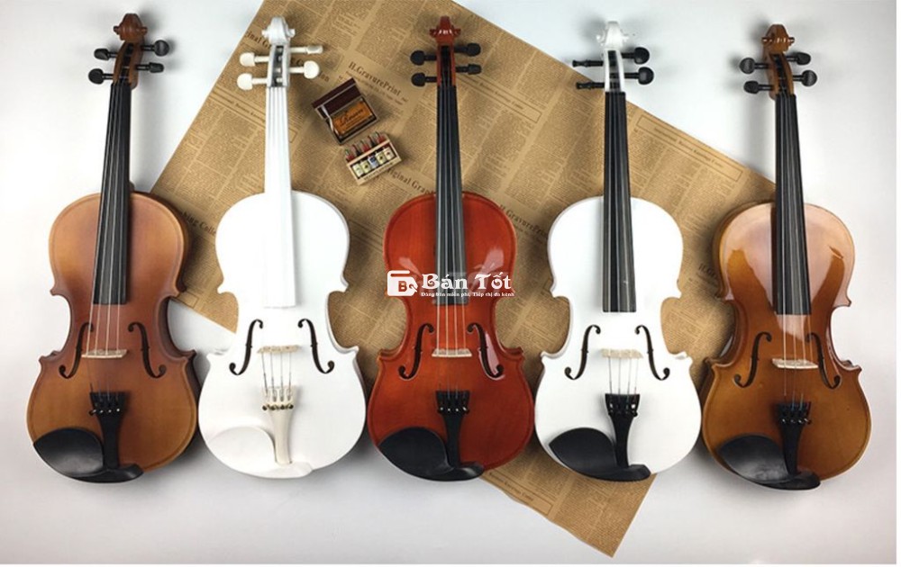 Đàn Violin Woim Gỗ Full Size 4/4 Đủ 5 Màu
