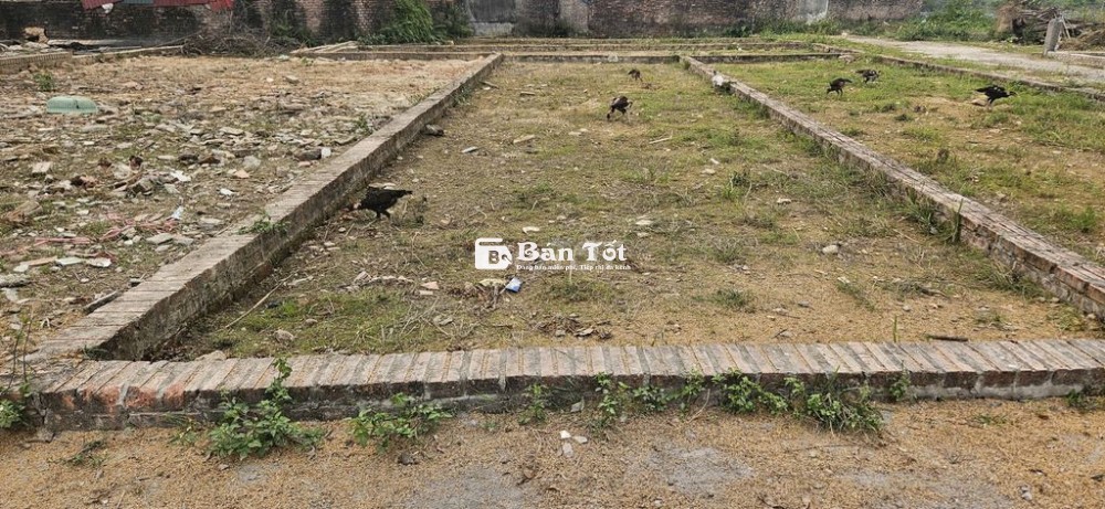 ❤️🔥Bán 69m2 Tổ 9 TT Quang Minh – Ô Tô 7 chỗ ngủ trong đất –  Vuông Vắn