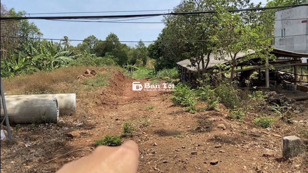 Chủ đi Mỹ bán gấp 290tr/2472m2 sổ riêng thị trấn Tân Phú Đồng Nai