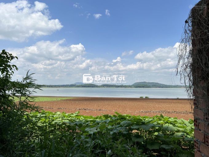 🌿 Chạm thiên nhiên Hồ Trị An – 1150m² Đất View Hồ, Giá Chỉ 499 Triệu