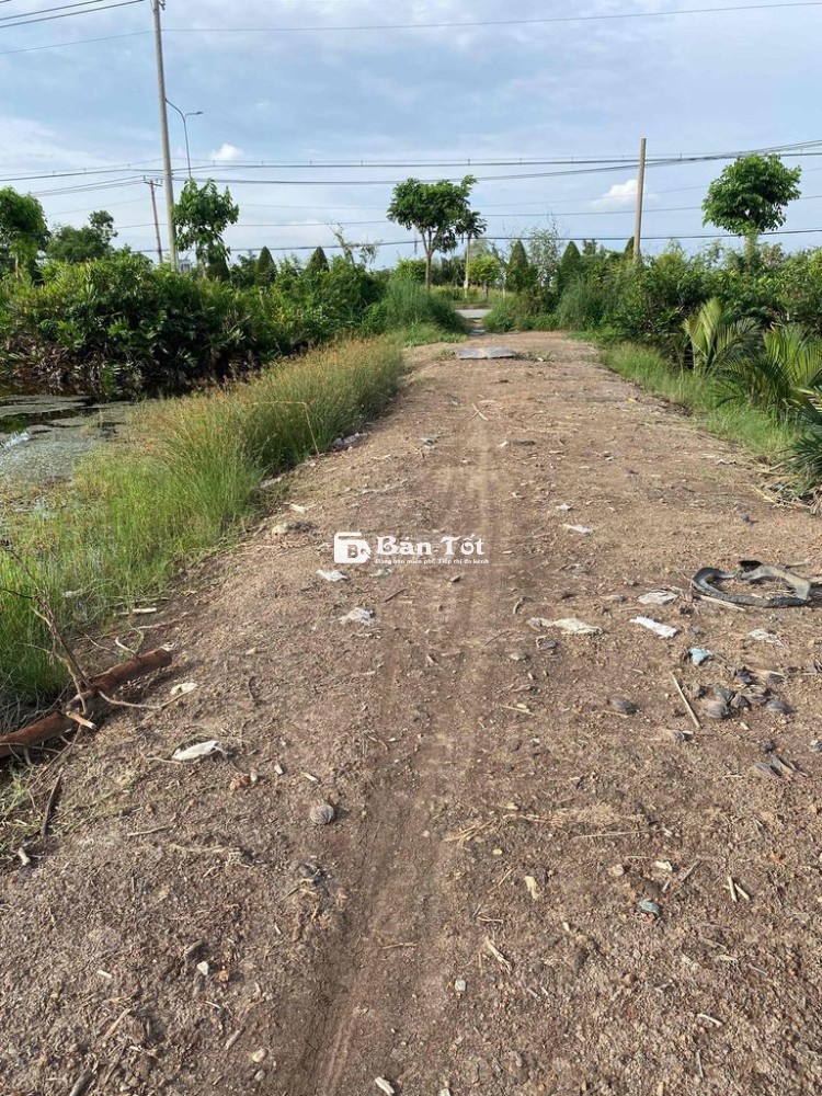 cần bán gấp đất cần giờ, mặt sông rạch cá gấu lớn