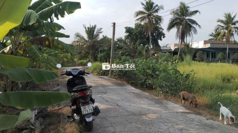 bán đất nền thổ cư đt:299,7m2 xã Bình Đức Bến lức .chính chủ