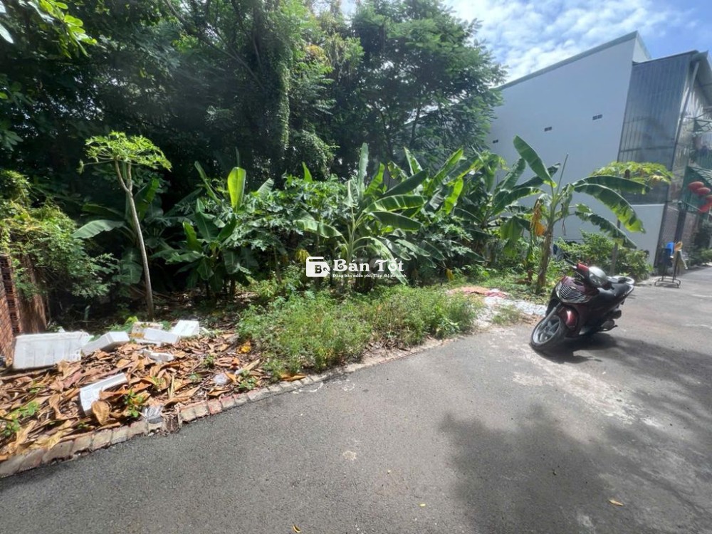 Cần bán đất hẻm xe hơi 6m đường Trịnh Khắc Lập