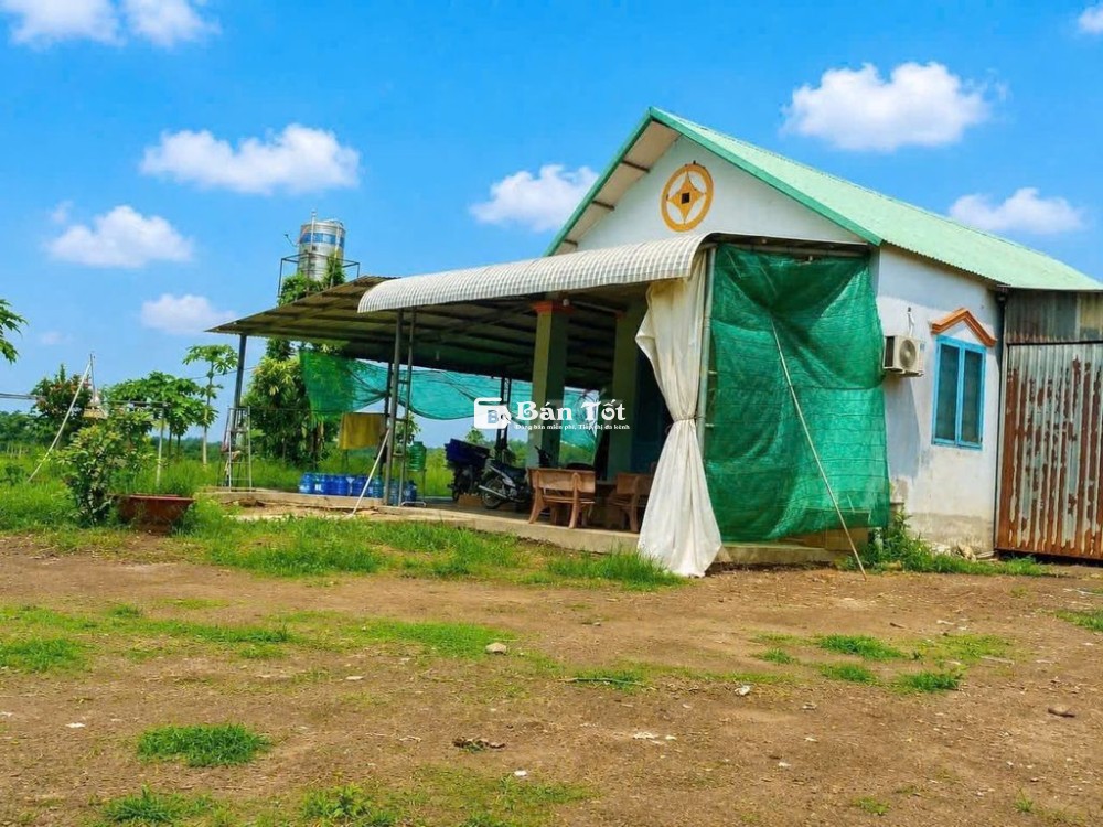Đất nhà kèm vườn