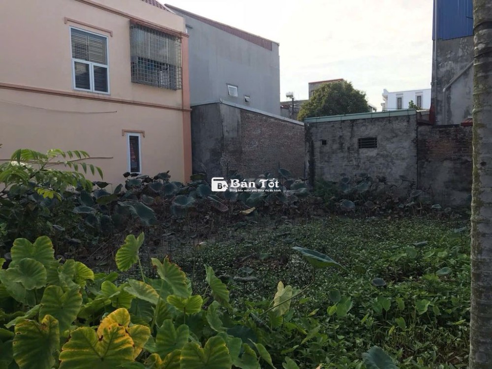 Cần bán đất ở Trang Quan , An Hải, Hải Phòng
