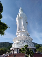 Ms Hà